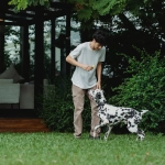 Слот-игра The Dog House с собачьей тематикой в стандартном формате