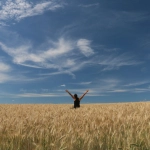 Слот игра Sky Bounty с классическим игровым интерфейсом