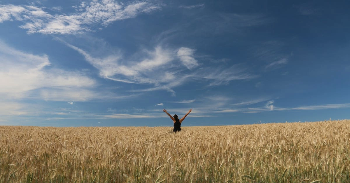 Слот игра Sky Bounty с классическим игровым интерфейсом