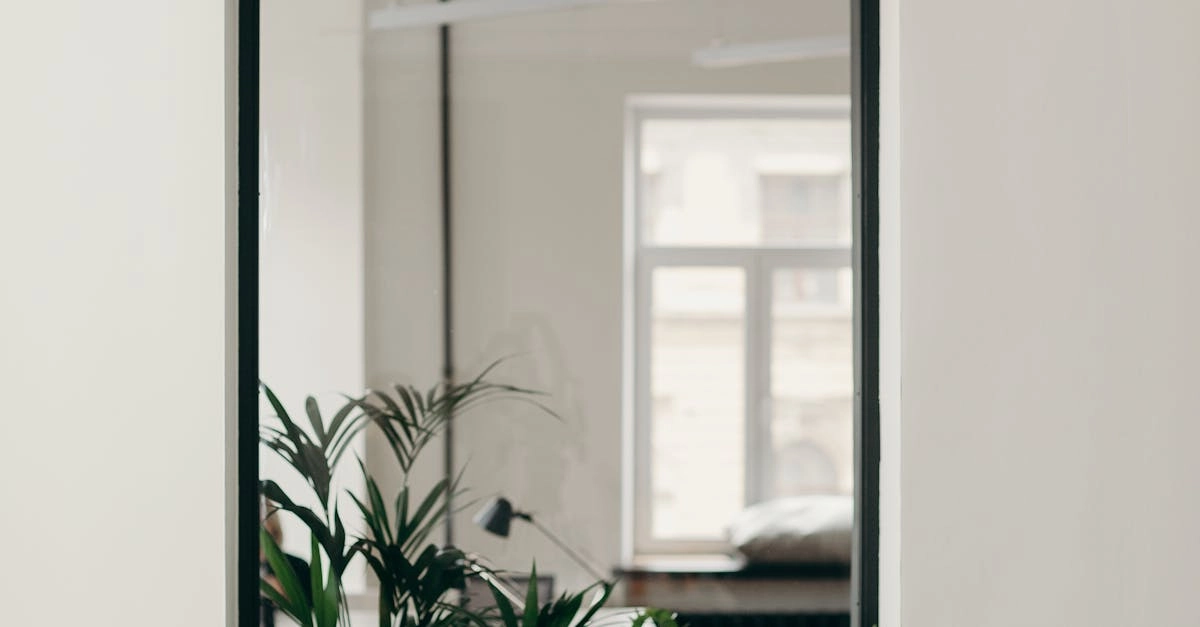 Немецкие игорные сайты онлайн - текущее состояние рынка